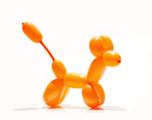 Balloon-Modelling