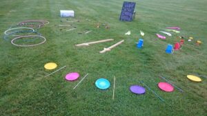 Wilds Lodge Circus Skills copy