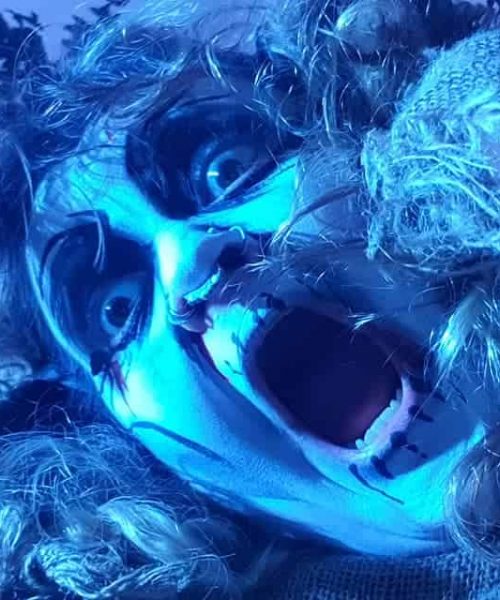 251662663_2490587741074267_265434628753338698_n