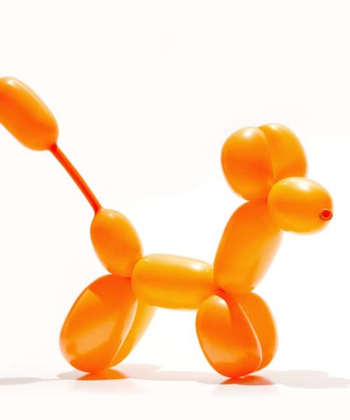 Balloon-Modelling