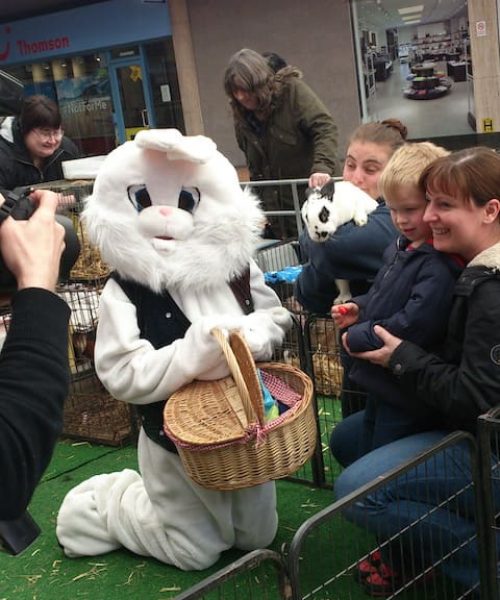 Easter-Bunny-Fun-2-copy